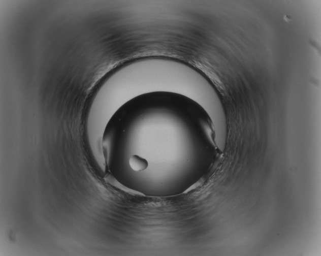 X0000090960160200708301211