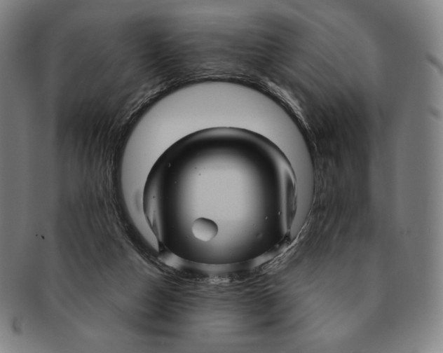 X0000090960162200708301211