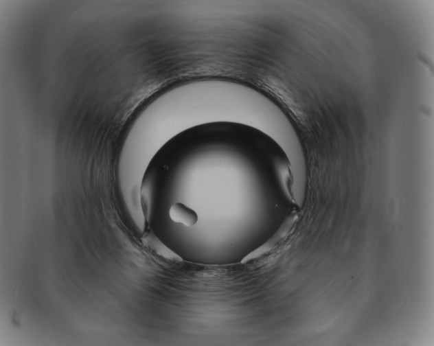 X0000090960164200708301211