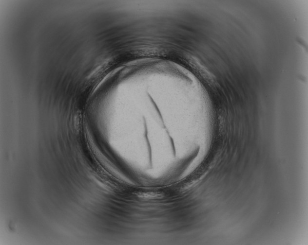 X0000090960165200708301211