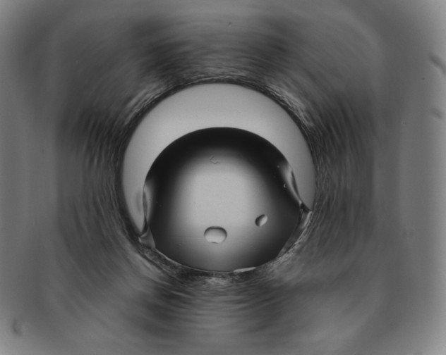 X0000090960166200708301211