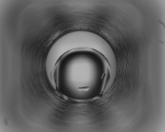 X0000090960168200708301211