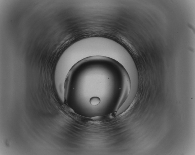 X0000090960170200708301211