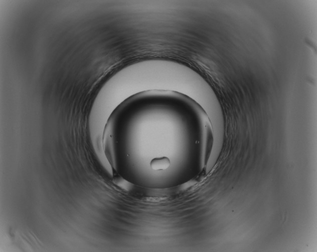 X0000090960172200708301212