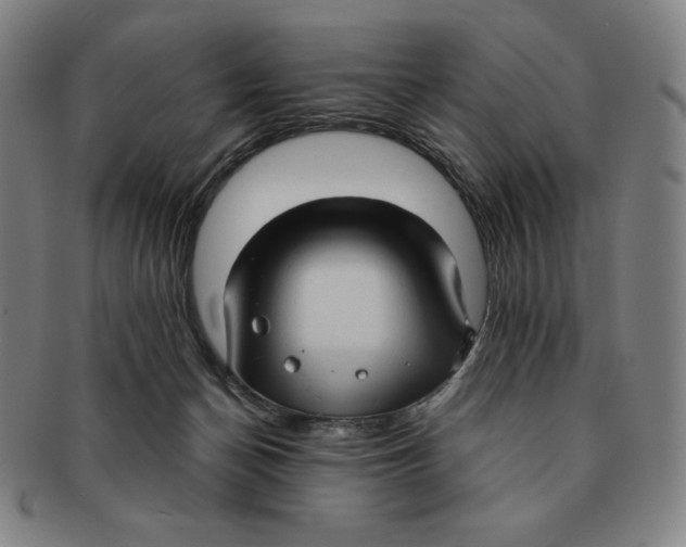 X0000090960174200708301212