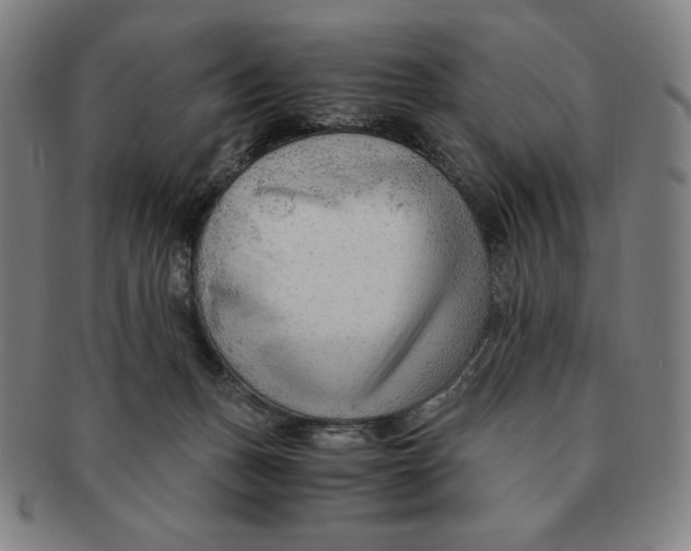 X0000090960175200708301212