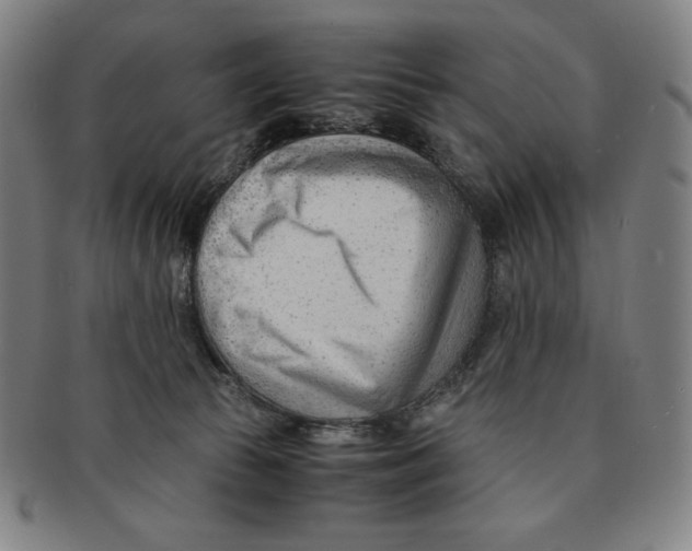 X0000090960177200708301212