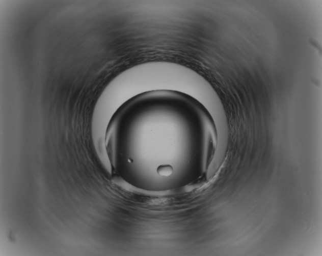 X0000090960178200708301212