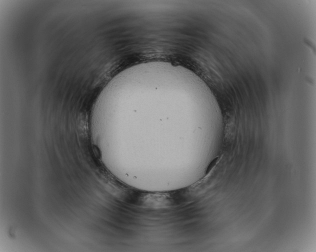 X0000090960179200708301212