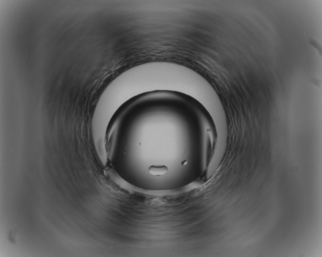 X0000090960180200708301212