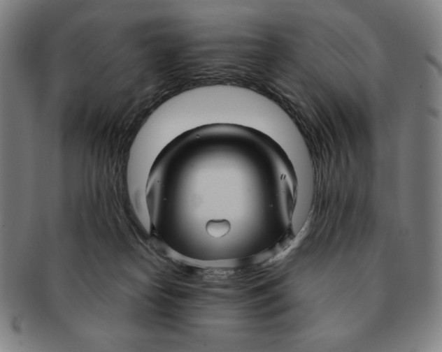 X0000090960182200708301212