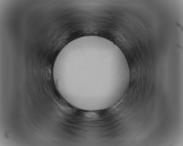 X0000090960183200708301212