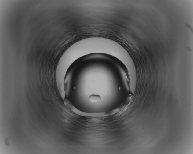 X0000090960184200708301212