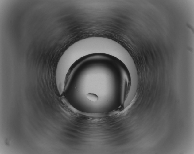 X0000090960186200708301212