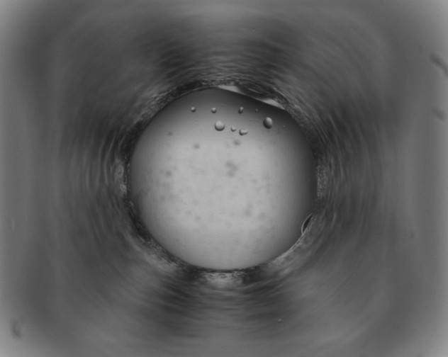 X0000090960187200708301212