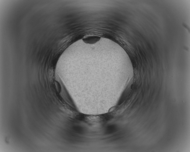 X0000090960189200708301212