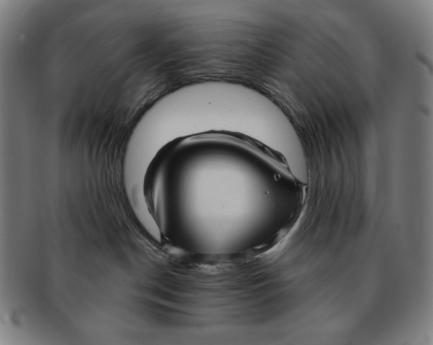 X0000090960190200708301212