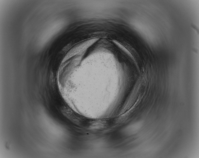 X0000090960191200708301212