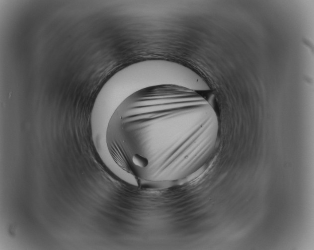 X0000090960192200708301212