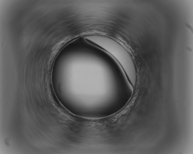 X0000090960193200708301211