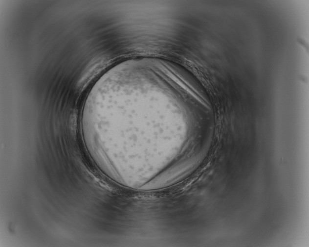 X0000090960194200708301211