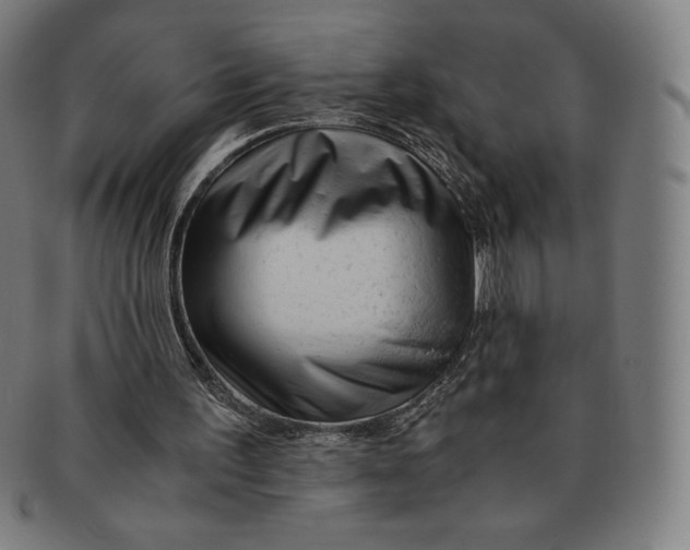 X0000090960195200708301211