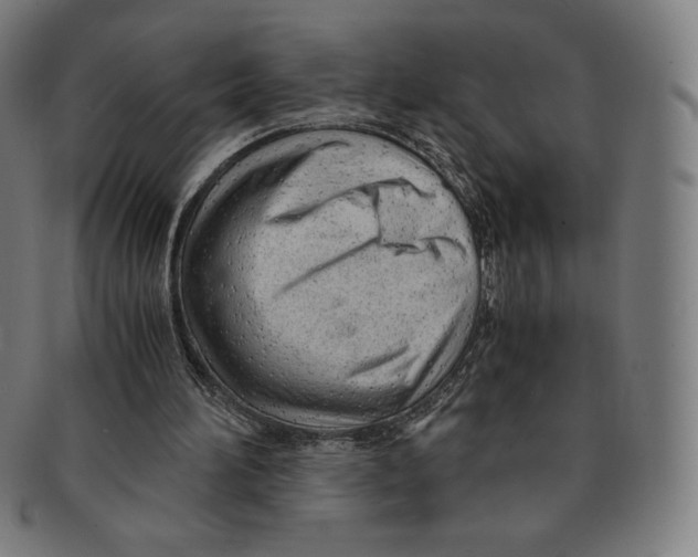 X0000090960196200708301211