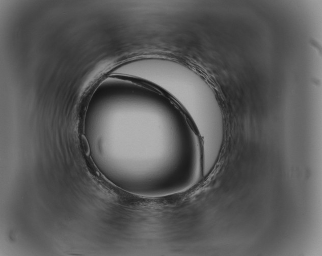 X0000090960197200708301211