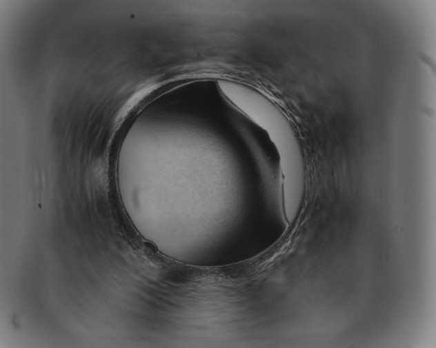 X0000090960200200708301211