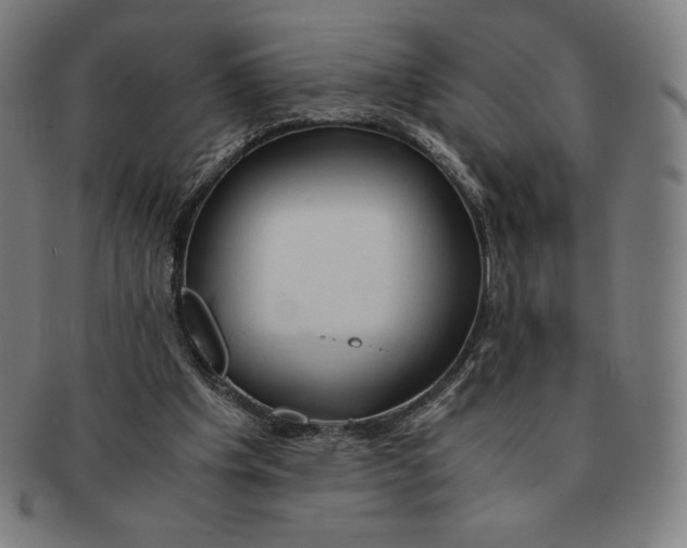 X0000090960201200708301211