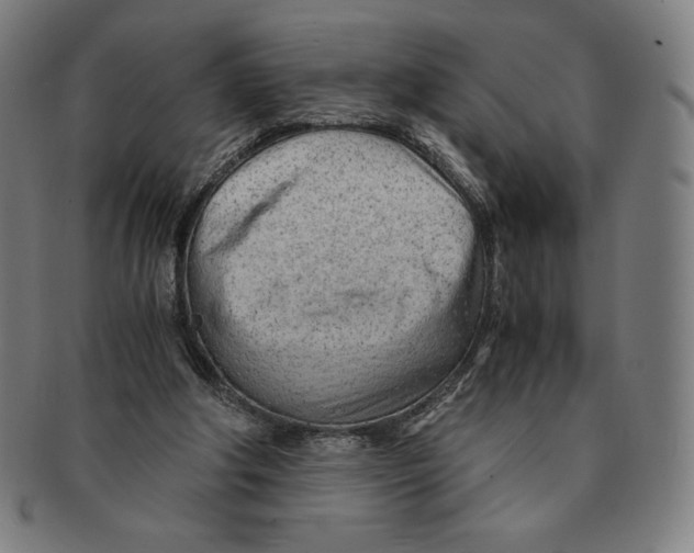 X0000090960202200708301211