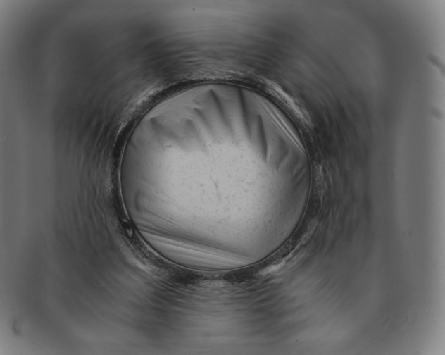 X0000090960203200708301211