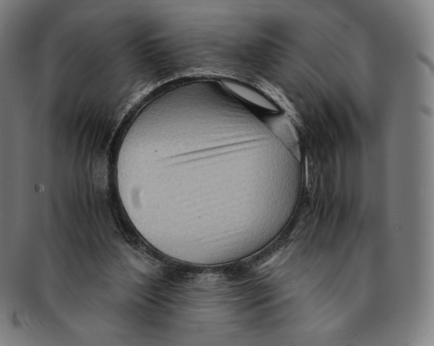 X0000090960204200708301211