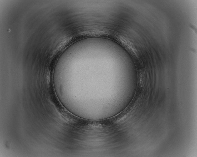 X0000090960206200708301211