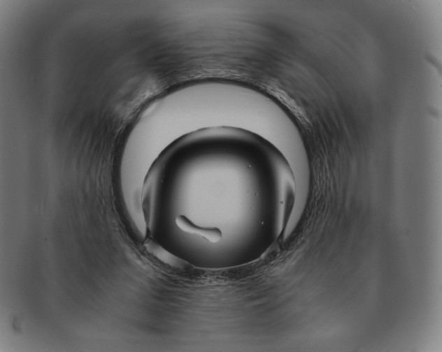 X0000090960207200708301211