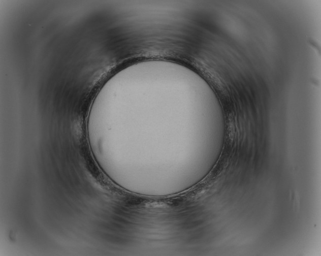 X0000090960208200708301211