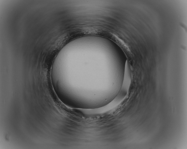 X0000090960209200708301211