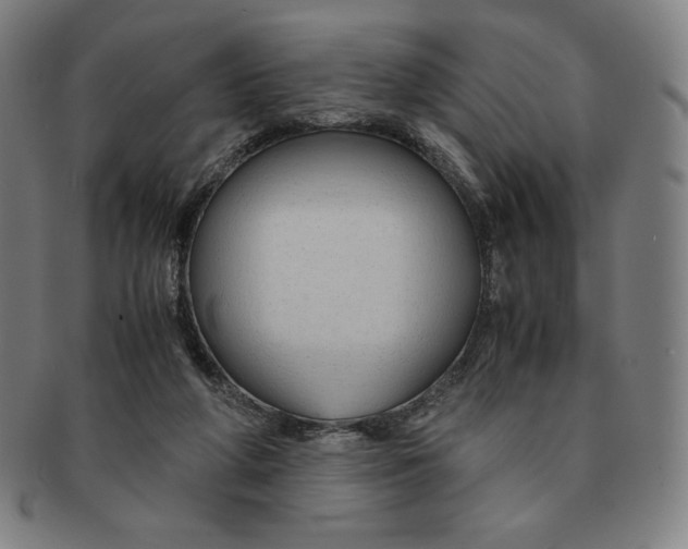 X0000090960210200708301211