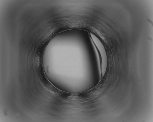 X0000090960211200708301211