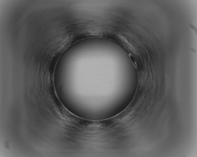 X0000090960213200708301211