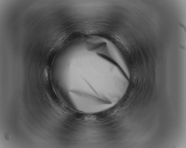 X0000090960214200708301211