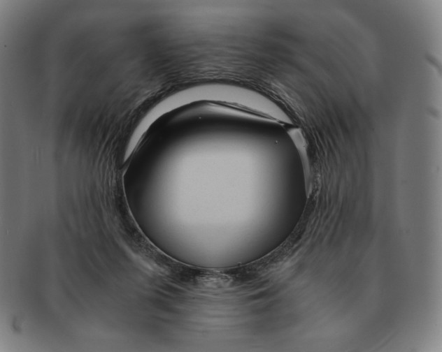 X0000090960215200708301211