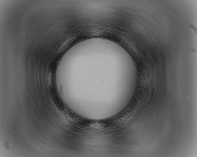 X0000090960216200708301211