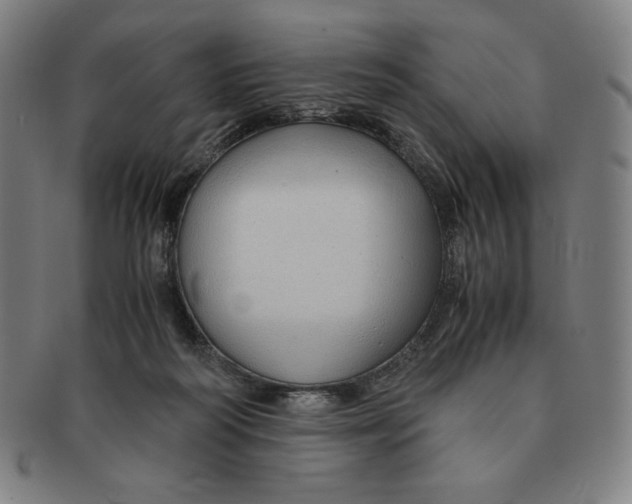 X0000090960218200708301210