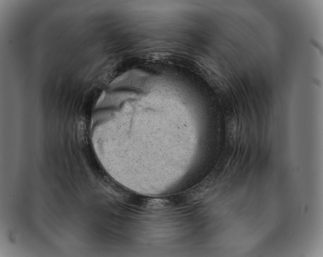 X0000090960222200708301210