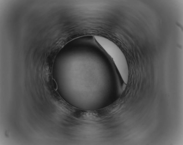 X0000090960223200708301210