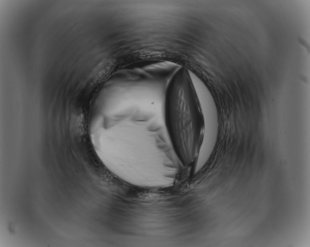 X0000090960224200708301210