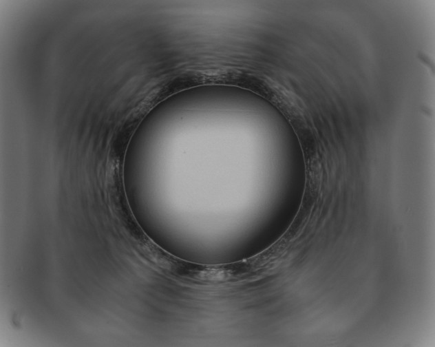 X0000090960225200708301210