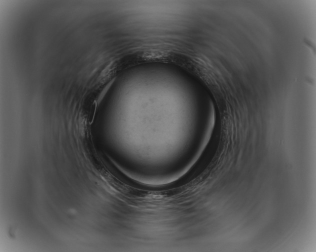 X0000090960227200708301210