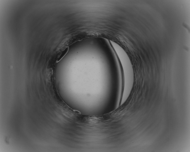 X0000090960229200708301210